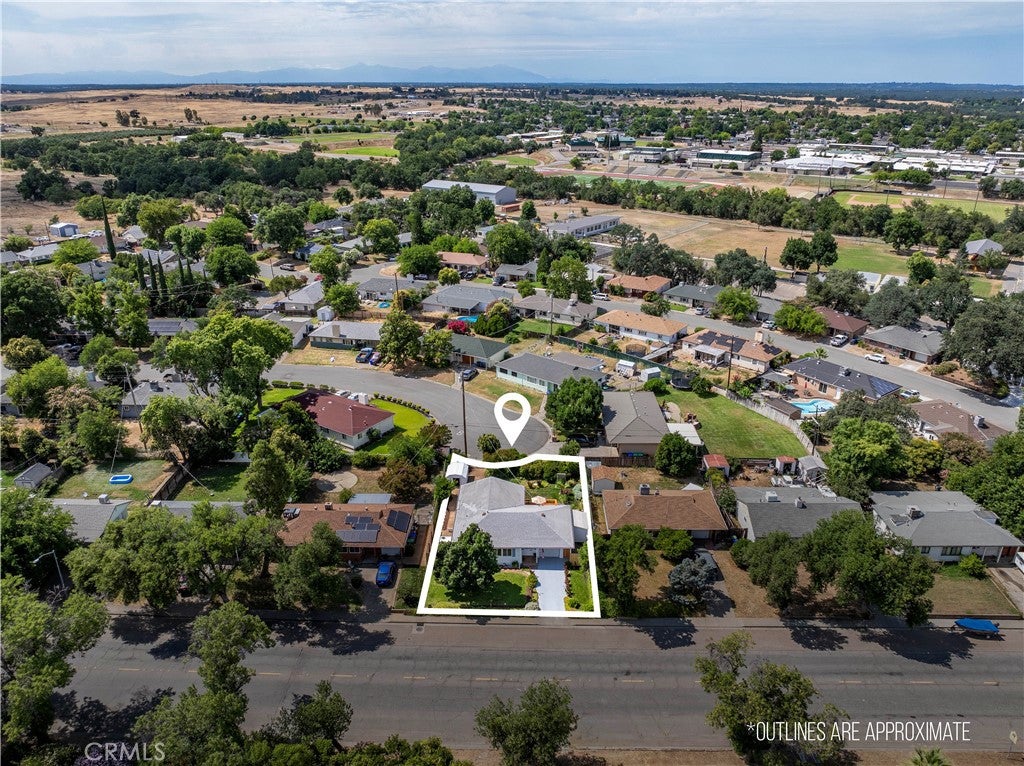 1450 Walnut