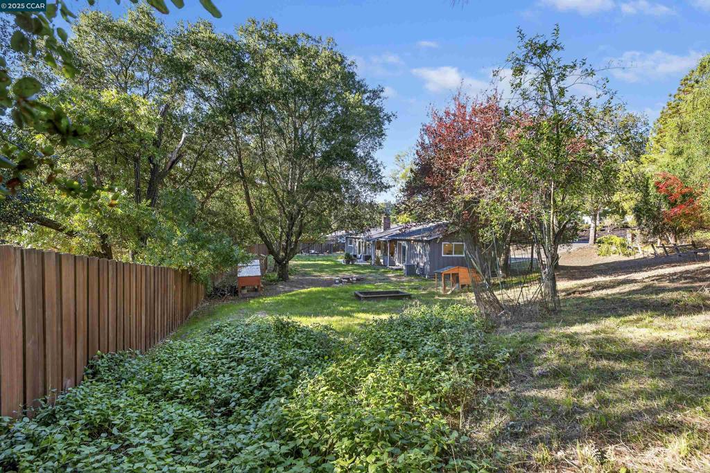 IVY DRIVE AREA - Residential