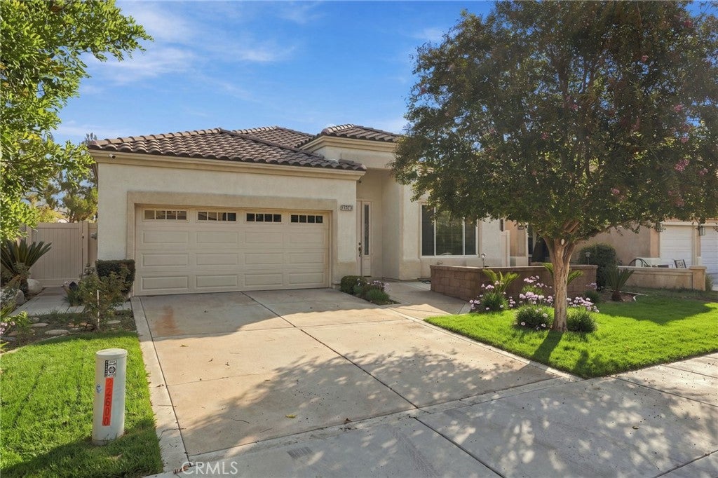 22810 Mountain Ash