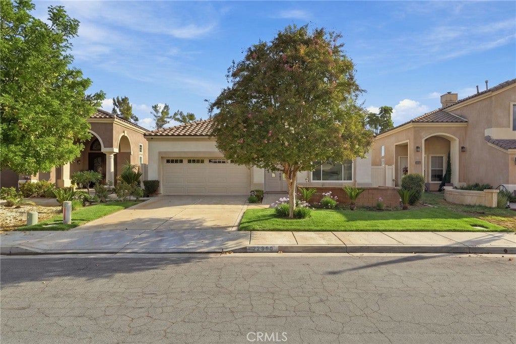 22810 Mountain Ash
