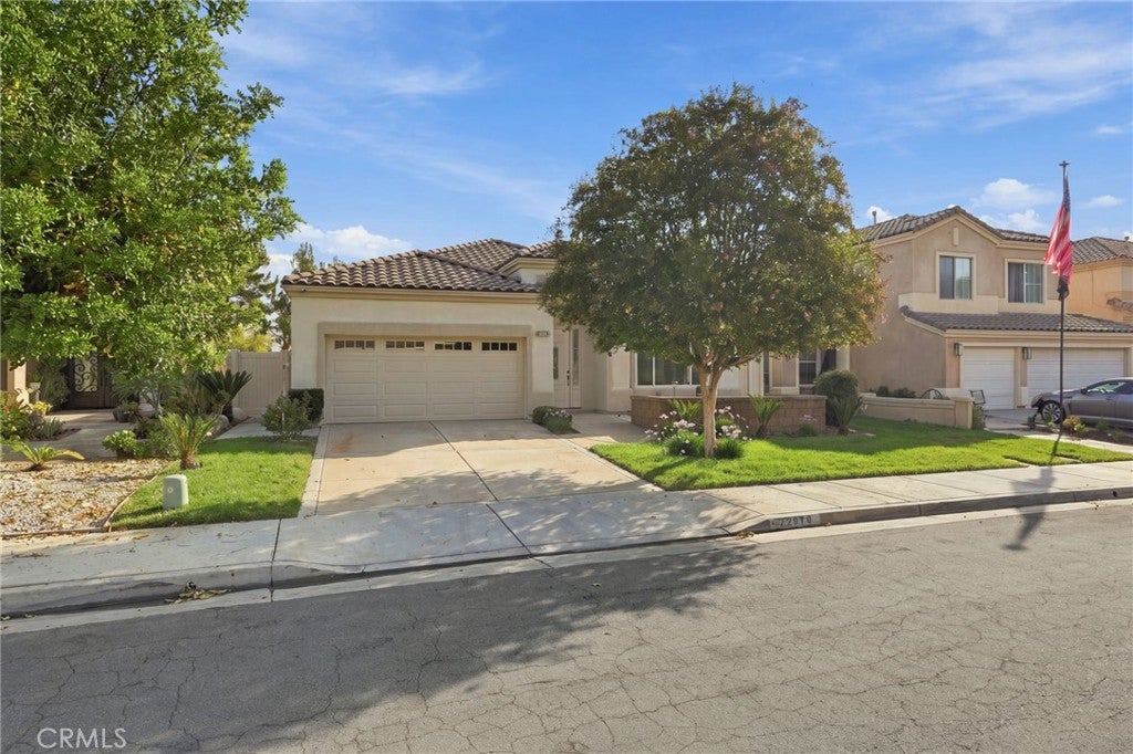 22810 Mountain Ash