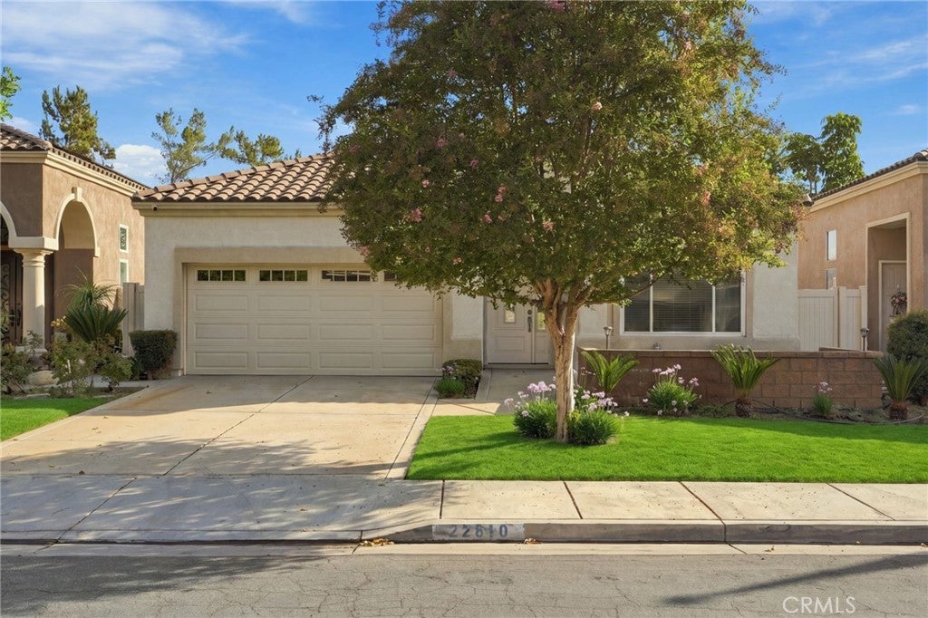 22810 Mountain Ash