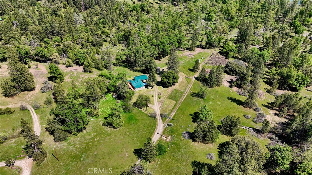 3028 Triangle Park Road