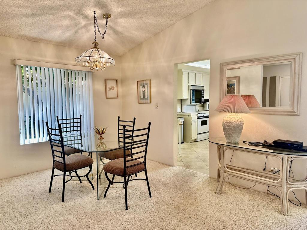 207 Serena Drive