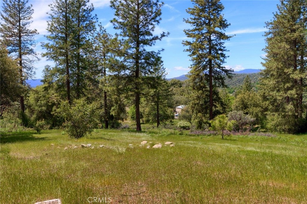 8 Lot Timberwood Lane