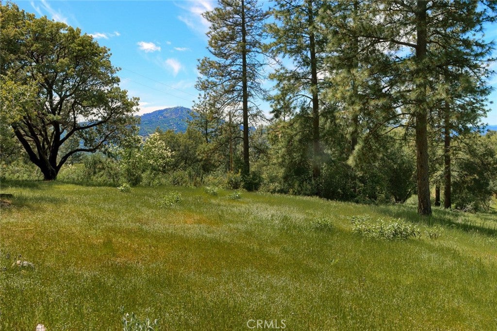 8 Lot Timberwood Lane