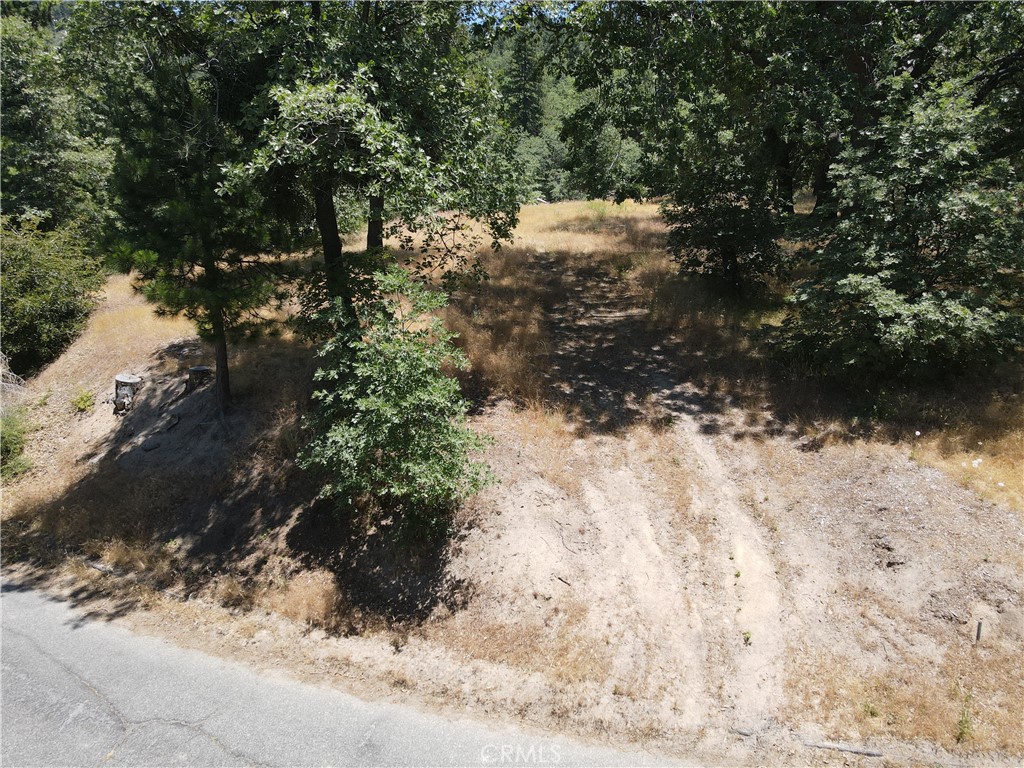 30209 Elfin Court
