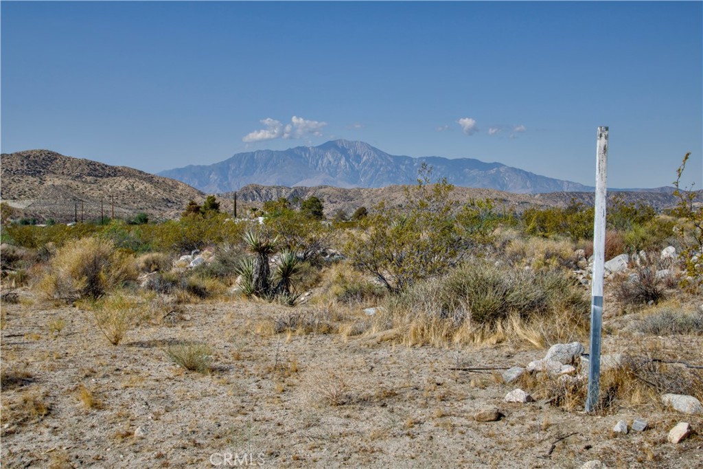 Seize this exceptional opportunity to own 1.25 acres of prime vacant land in the sought-after community of Morongo Valley. This generous lot offers ample space for a variety of uses, from building your dream desert home to establishing a private recreational haven. A valuable asset, a sturdy storage shed, is already present on the property, providing immediate convenience for storage or project materials. Enjoy the peace and quiet of the high desert, breathtaking sunsets, and easy access to local amenities and attractions. This is more than just land; it's a lifestyle waiting to be built.