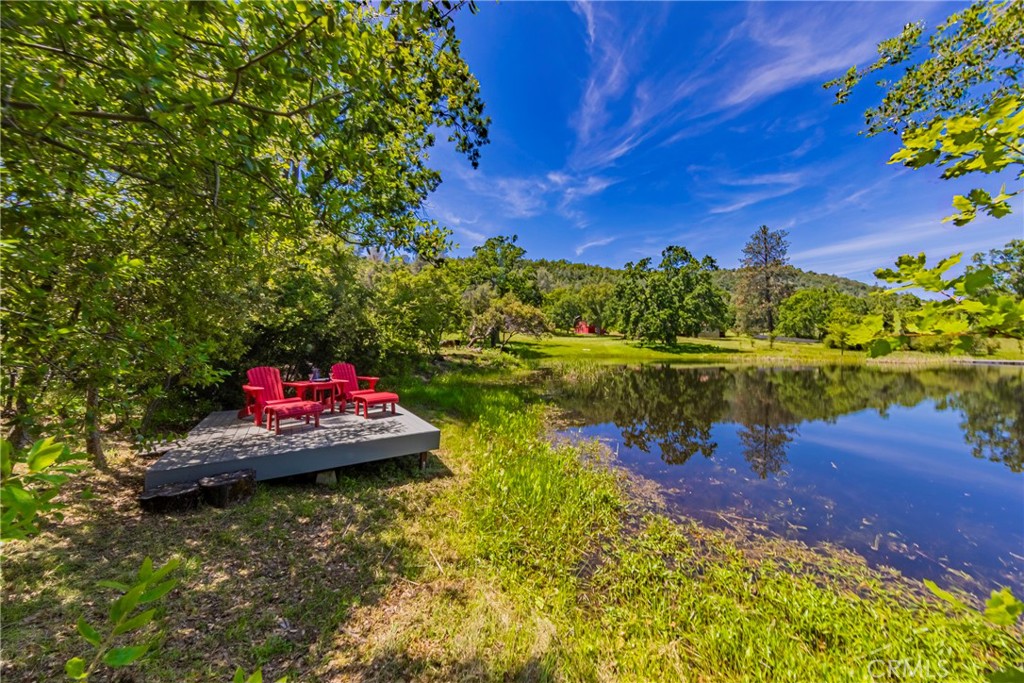 33590 Woodland Pond Trail