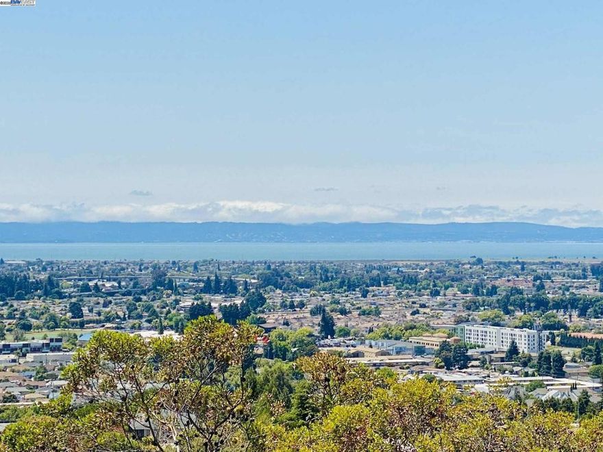 Experience AMAZING VIEWS with a light-filled TWO BEDROOM, TWO FULL BATH condo that puts sky-high CITY VIEWS front and center! This dazzling home offers sunny spaces and a sweeping, OVERSIZED BALCONY perfect for morning coffee or sunset gatherings to watch over the sparkling BAY VIEWS. Enjoy the freedom of single-level living—NO STAIRS TO ENTRY, just easy access for all your daily adventures. The open kitchen features stainless steel appliances and a welcoming breakfast bar ideal for friends and family. Cozy up next to the inviting fireplace in a spacious living room designed for relaxation and entertaining. Easy to maintain wood laminate floors and convenient IN UNIT LAUNDRY—washer and dryer included! LOTS OF CLOSET SPACE and DUAL PANE WINDOWS. Move in and start living w/one covered assigned parking spot, a private fitness center, and water and trash services covered. The COVETED CASTRO VALLEY SCHOOL DISTRICT is your gateway to top-rated education, and world-class commuting puts Oakland, San Francisco, and the BART just minutes away. With interest rates down, the chance to own this radiant retreat won’t last—make your move and elevate your everyday!