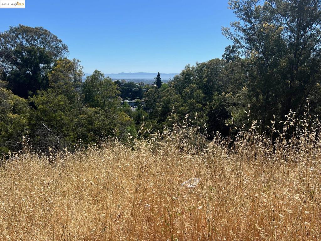 OAKLAND HILLS - Land