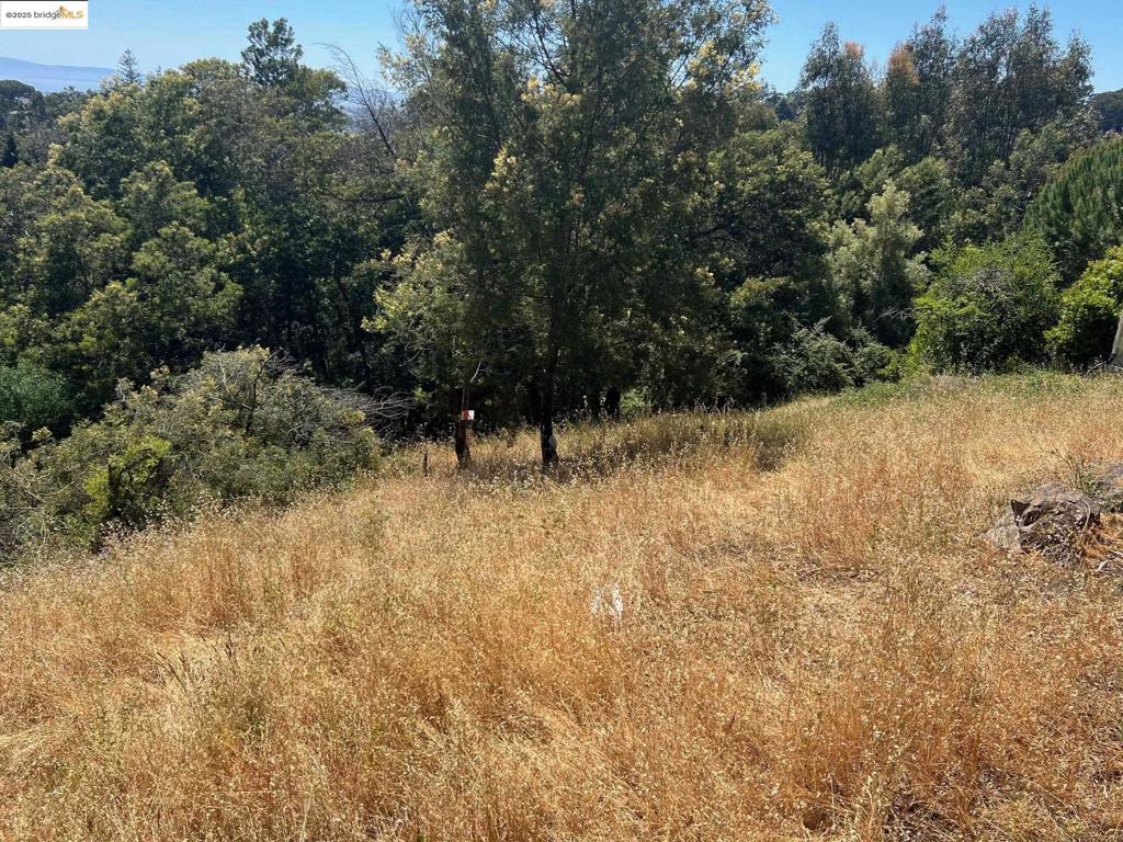 OAKLAND HILLS - Land