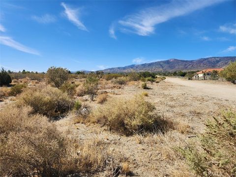 11675 Descanso Road Pinon Hills CA 92372