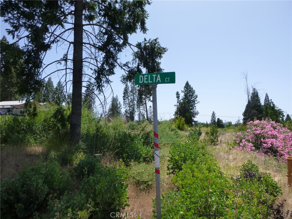 This is a great lot perfectly situated for your new home! Affordably priced, electric and water are right there- there is a fire hydrant directly in front for additional safety. As you drive up to the location, notice the many lovely custom homes that remain or have been built since the fire. This special lot is the corner of a cul-de-sac, making it very desirable for privacy. Located in Paradise Pines Property Owners Association, offering access to a clubhouse, swimming pool, tennis courts, walking trails, and more. Affordable annual fee of only $310.00. Nearby to many types of recreation, including High Lakes, Paradise Lake, Lake Oroville, Lime Saddle Marina and Feather River Canyon. These prices won't stay this low, get your ideal lot now!