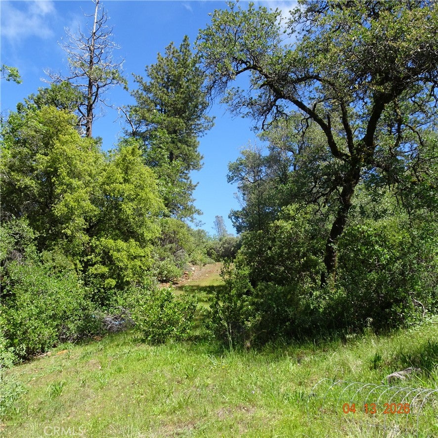 0 Powell Ridge