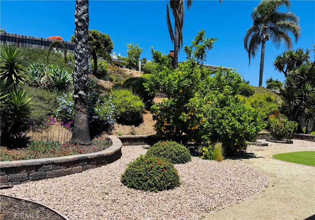 12488 Mantilla Road