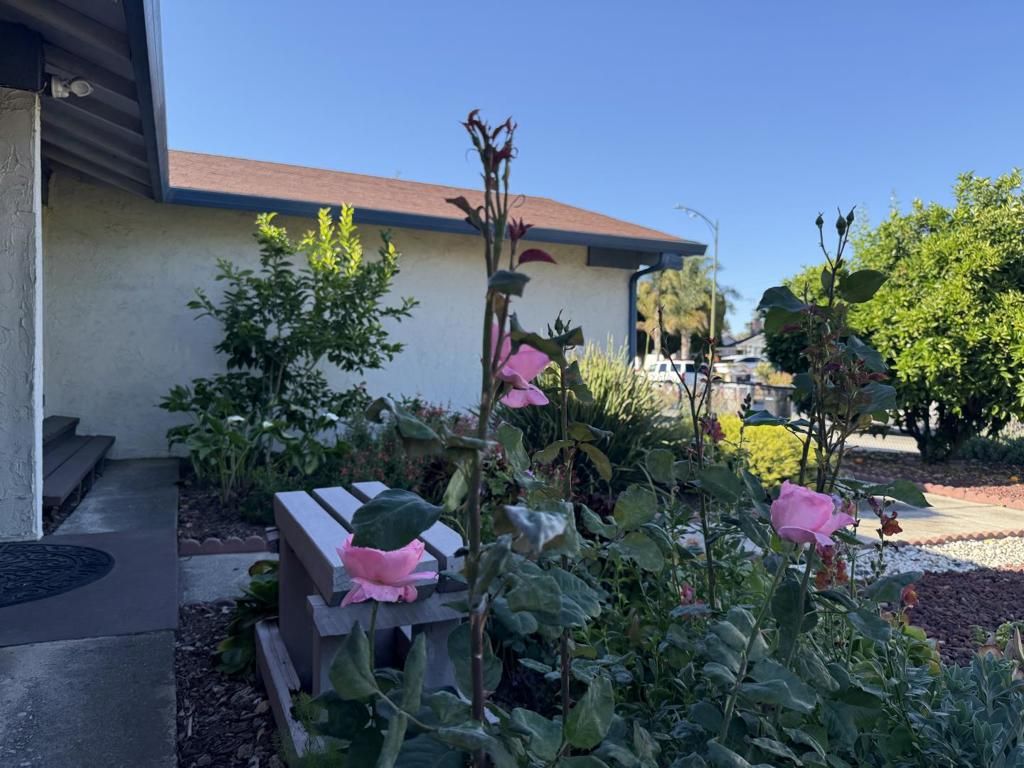 Photo of 441 Clogston Court, San Jose, CA 95133 (MLS # ML82041581)