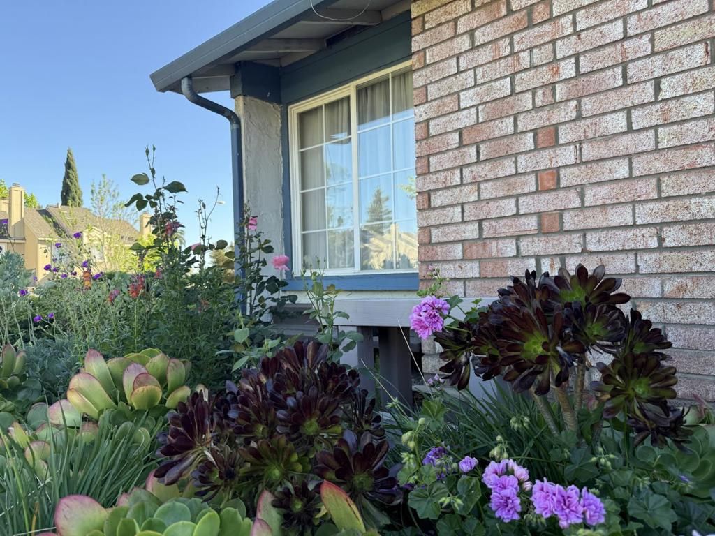 Photo of 441 Clogston Court, San Jose, CA 95133 (MLS # ML82041581)