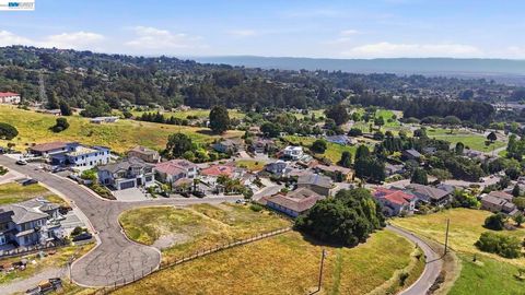 Photo of 3588 Sarita St ST, Hayward, CA 94542 (MLS # 41135449)