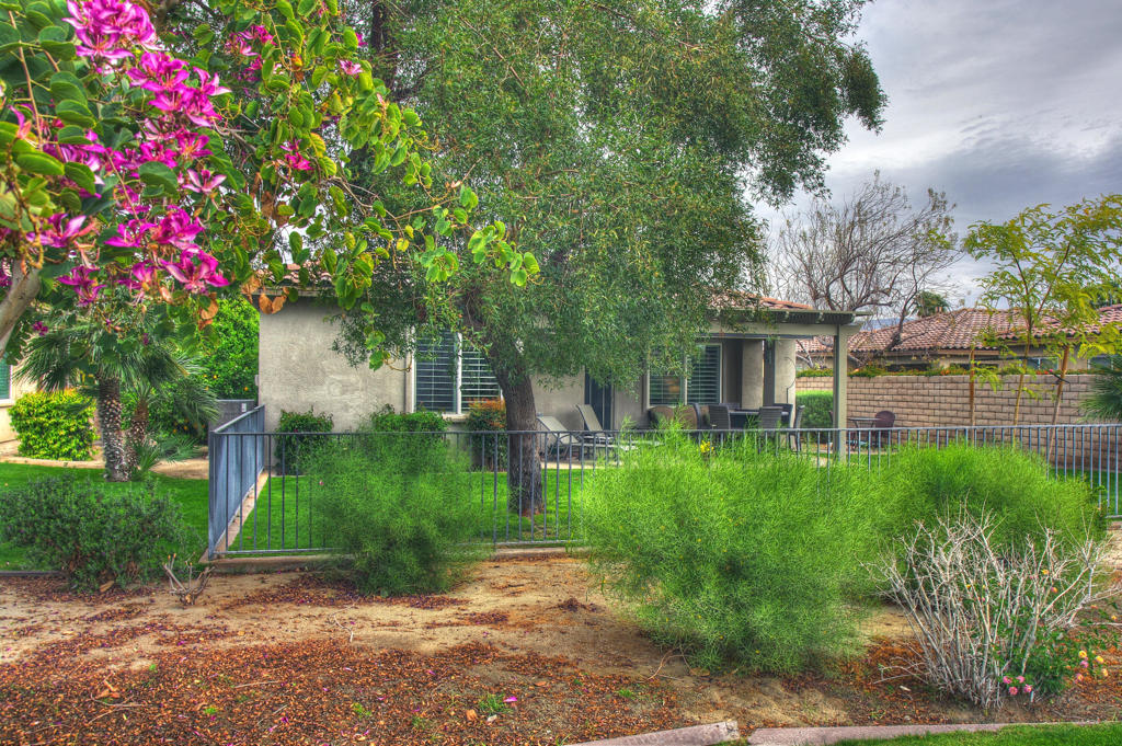 Indian Palms (31432) - Residential