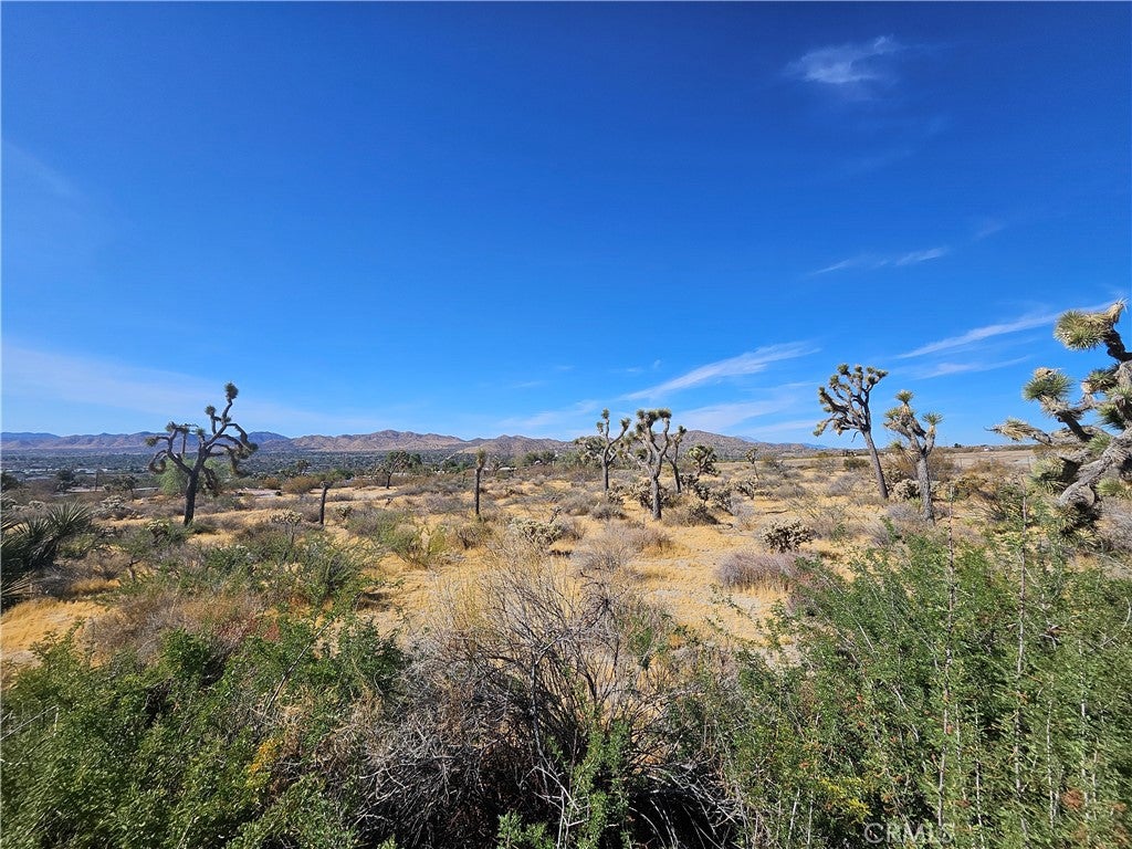 6961 Cherokee Trail