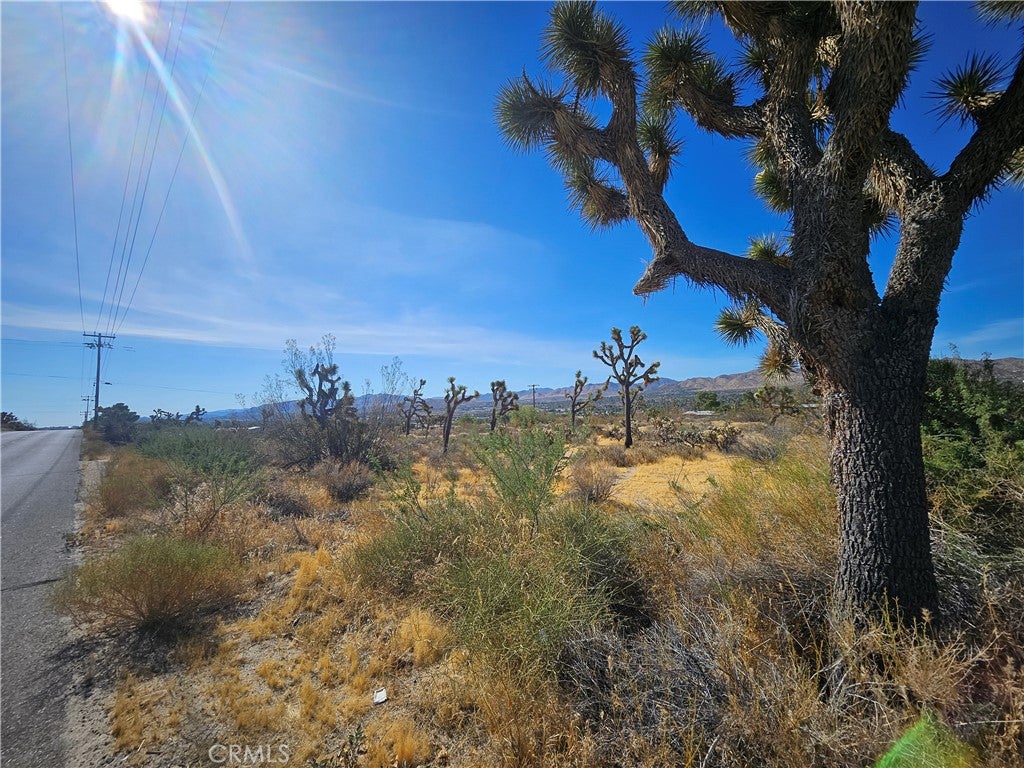 6961 Cherokee Trail