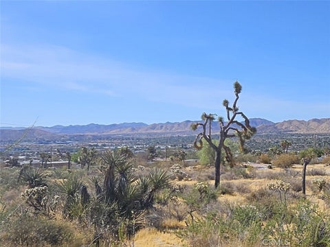 Photo of 6961 Cherokee Trail, Yucca Valley, CA 92884 (MLS # IV26158949)