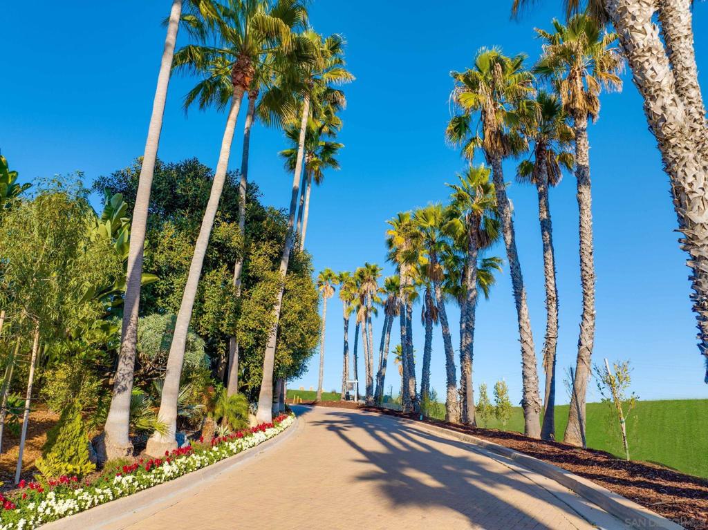 Rancho Santa Fe - Land