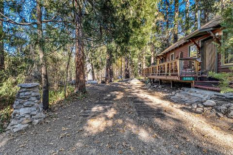54865 Strong Dr Idyllwild CA 92549