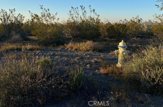 Build Your Dream Home on This Scenic 1.979-Acre Corner Lot in Pinon Hills!
Located in the desirable Snowline School District, this nearly 2-acre parcel offers breathtaking 360° views of the desert and surrounding mountains, perfect for enjoying stunning sunsets. The property features minimal Joshua trees, offering a mostly clear and usable space. Water is available (buyer to verify all utilities and perform due diligence). Don’t miss this excellent opportunity to create your custom home in a, spacious setting with room to grow.