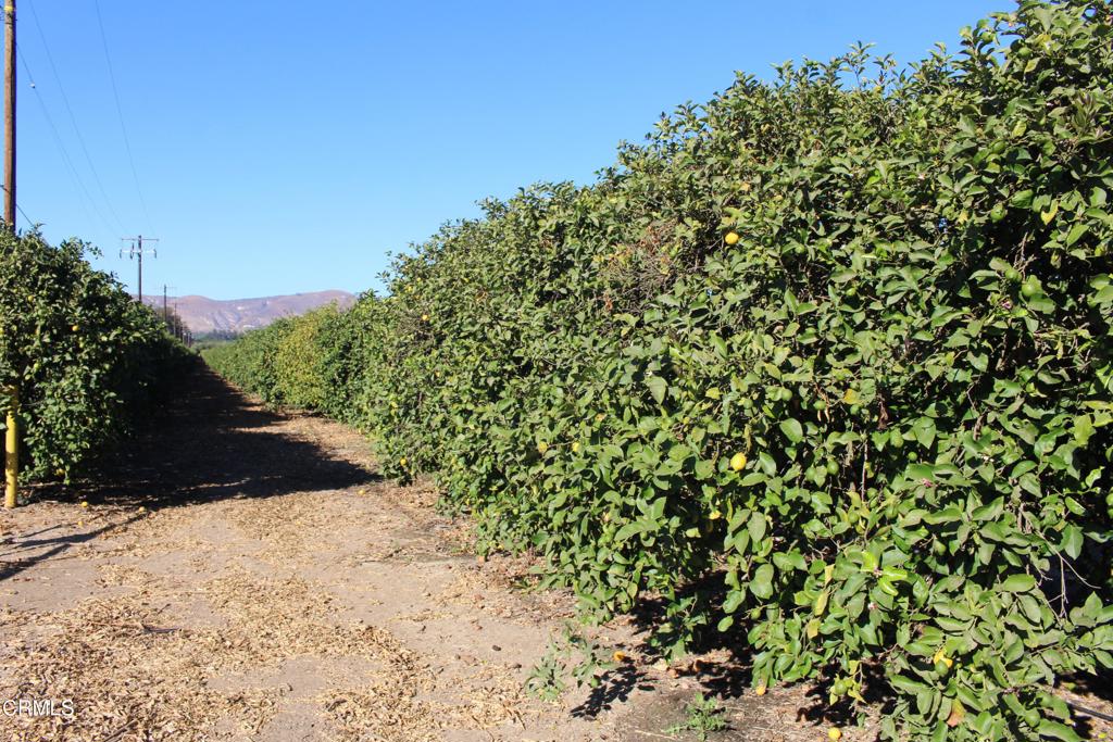 Properties 2 0 Price Road