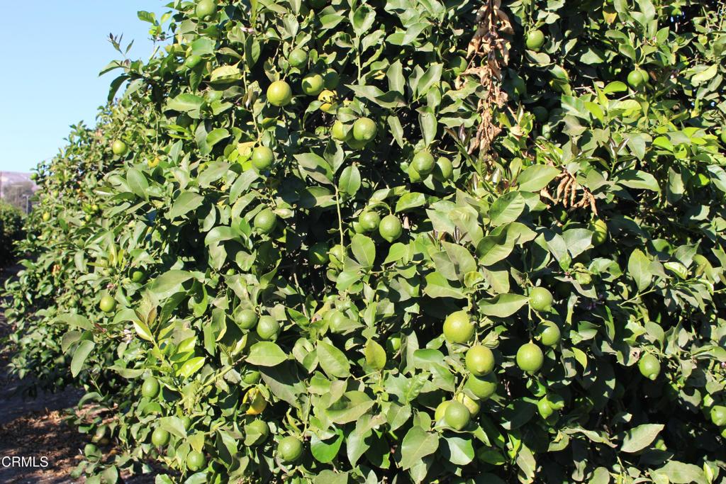 Properties 1 0 Price Road