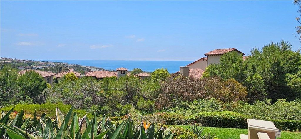 Newport Coast Marriot - Residential