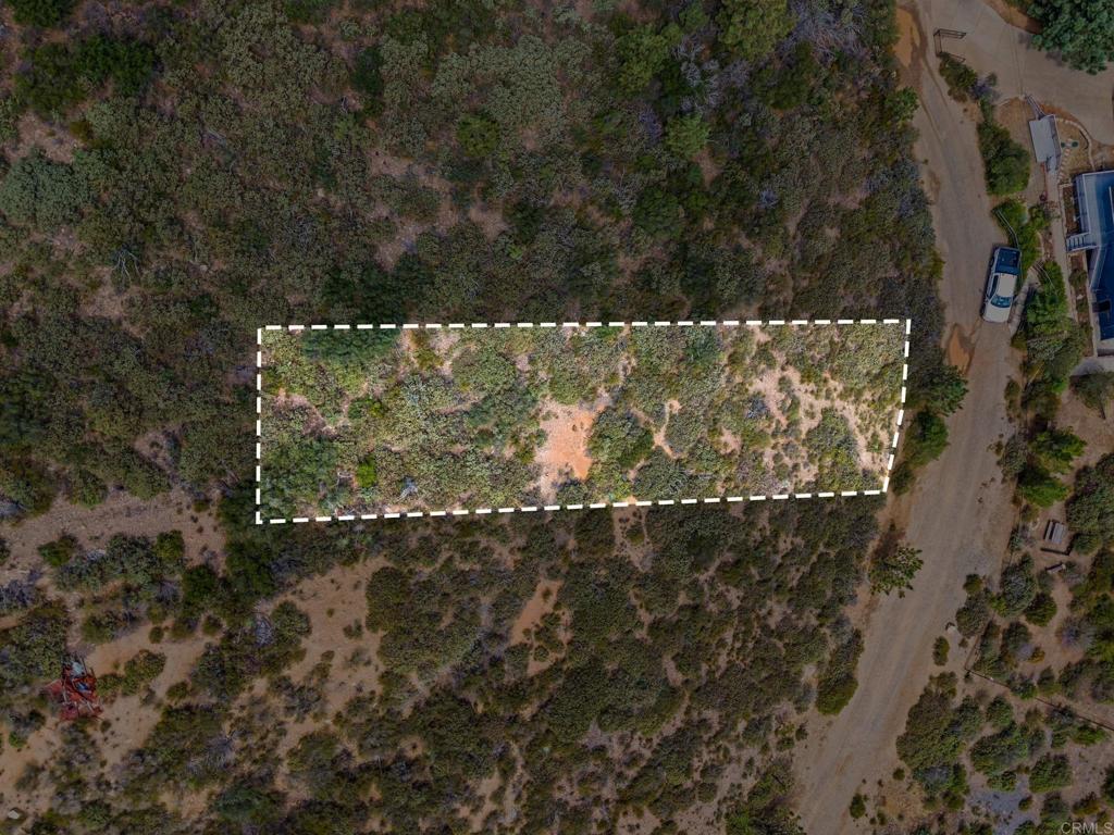 Manzanita Drive