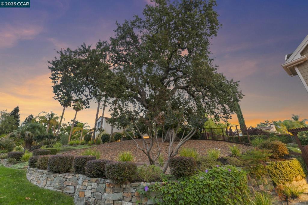 STONE VALLEY OAKS - Residential
