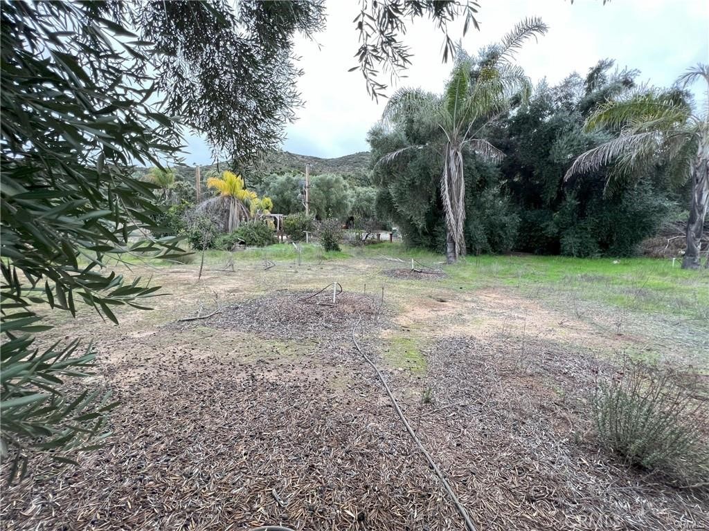 20787 Alameda Del Monte