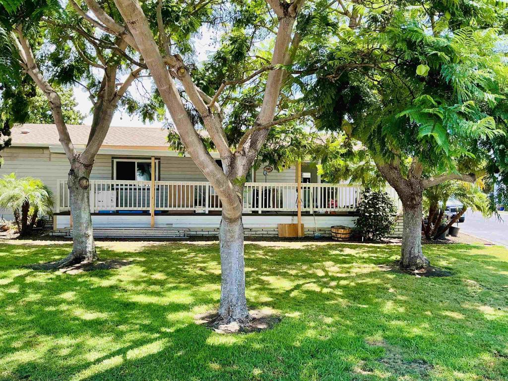 3445 Don Ortega Drive