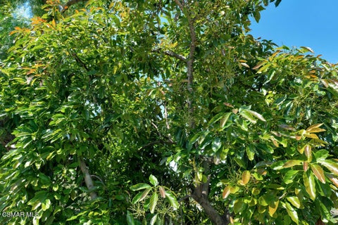 Tiny photo for 1917 Brittany Park Road RD, Camarillo, CA 93012 (MLS # 226002105)