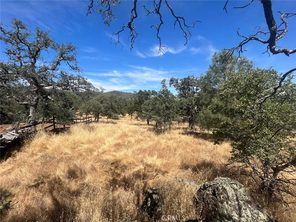 Coulterville, California 95311, United States, ,Land,Active,181386