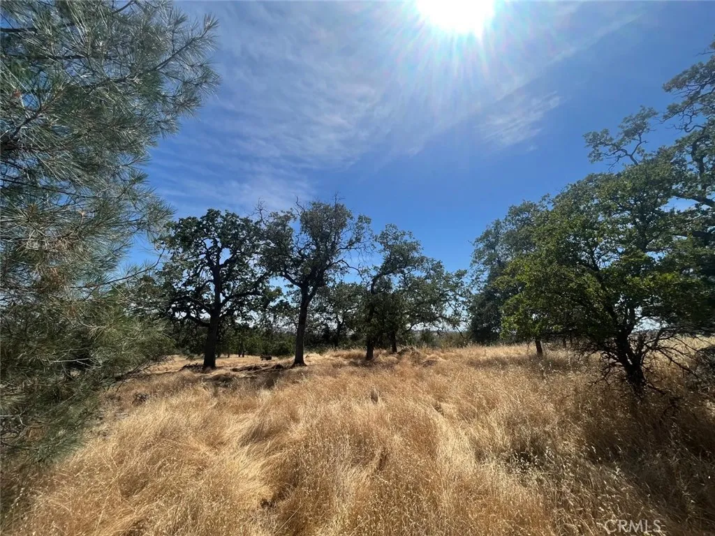 Coulterville, California 95311, United States, ,Land,Active,181386