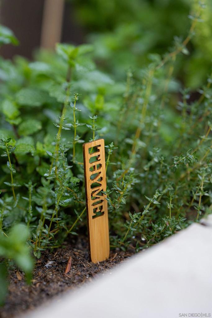 North Park - Residential