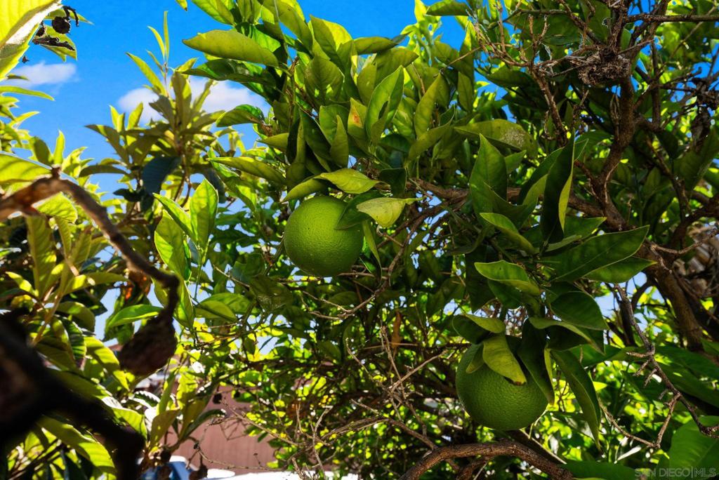 North Park - Residential