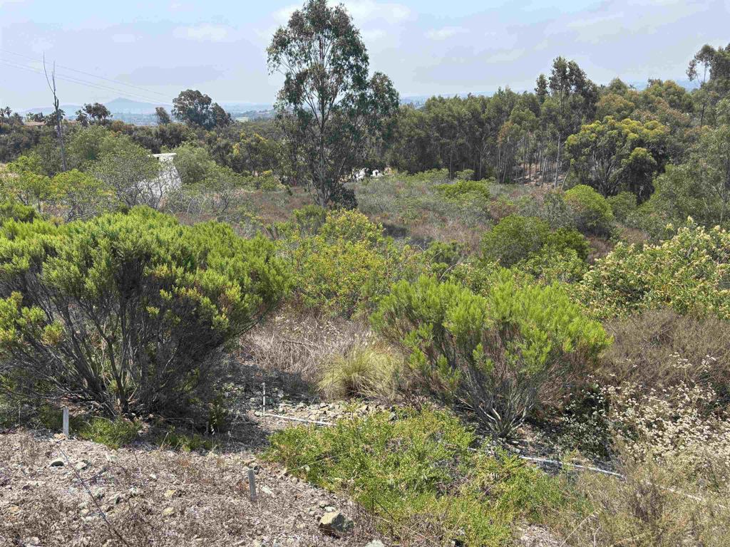 Set in Olivenhain’s scenic back country, this 2.46 acre lot offers mountain views and the pleasure of refreshing ocean breezes. Surrounded by prestigious estates in Knightsbridge and Shea Homes' "One Oak", this rare parcel presents a future building opportunity. An adjacent 2.45-acre lot is also available, allowing for the potential to own a combined 4.9 acres. Ideal for land banking until an access road is completed along the legal easement from Lone Hill. The property is located behind the gates of Knightsbridge, but it is not part of its Homeowners Association. Located within the City of Encinitas, this is a rare opportunity for a visionary buyer to secure prime Olivenhain land and take it through the development process. Buyer to cooperate with 1031 exchange.