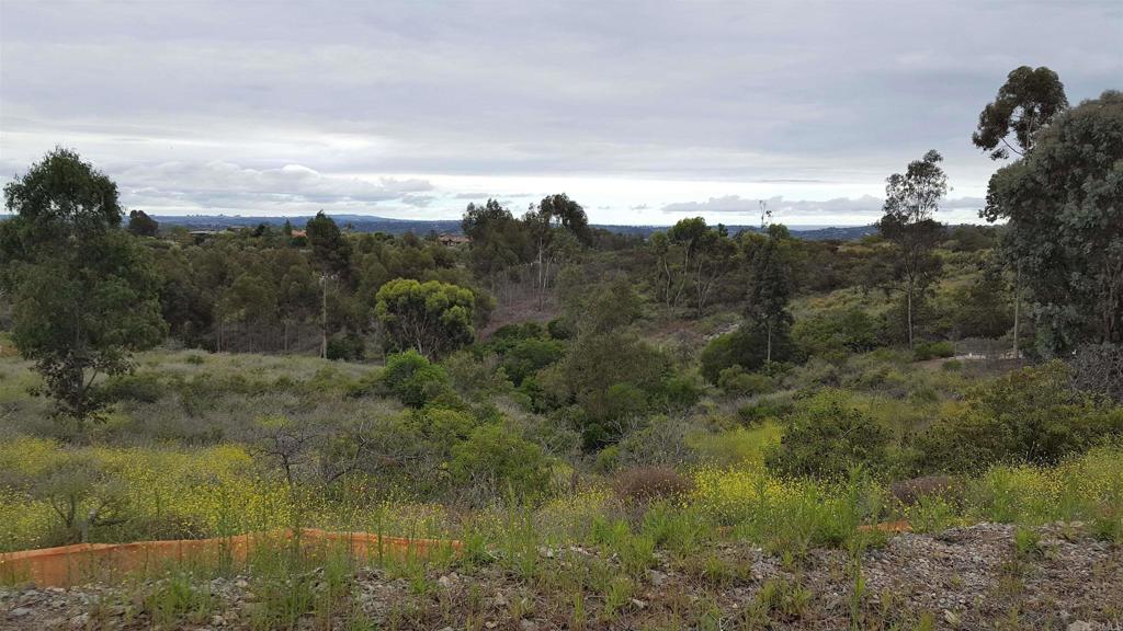 Set in Olivenhain’s scenic back country, this 2.46 acre lot offers sweeping views of the mountains beyond and the pleasure of refreshing ocean breezes. Surrounded by prestigious estates in Knightsbridge and Shea Homes One, this rare parcel presents an outstanding investment or future building opportunity. An adjacent 2.45-acre lot is also available, allowing for the potential to own a combined 4.9 acres. Ideal for land banking until an access road is completed along the legal easement from Lone Hill, the property is currently accessed through Knightsbridge (without being part of its HOA). Located within the City of Encinitas, this is a rare opportunity for a visionary buyer to secure prime Olivenhain land and take it through the development process.