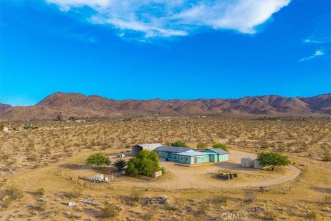 50350 Quailbush Road Johnson Valley CA 92285