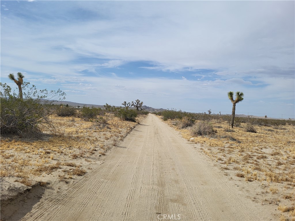 Beautiful land just 1,000 ft off the El Mirage Rd. Flat and buildable Parcel. Great potential. There are large communities within 2 miles.
