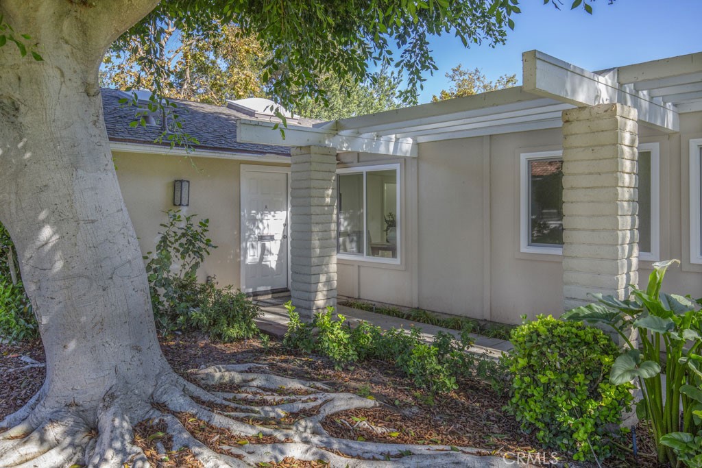 3217 Via Carrizo A