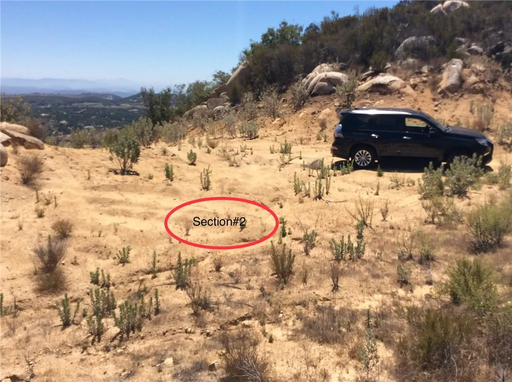 Murrieta, California 92562, United States, ,Land,Active,249484