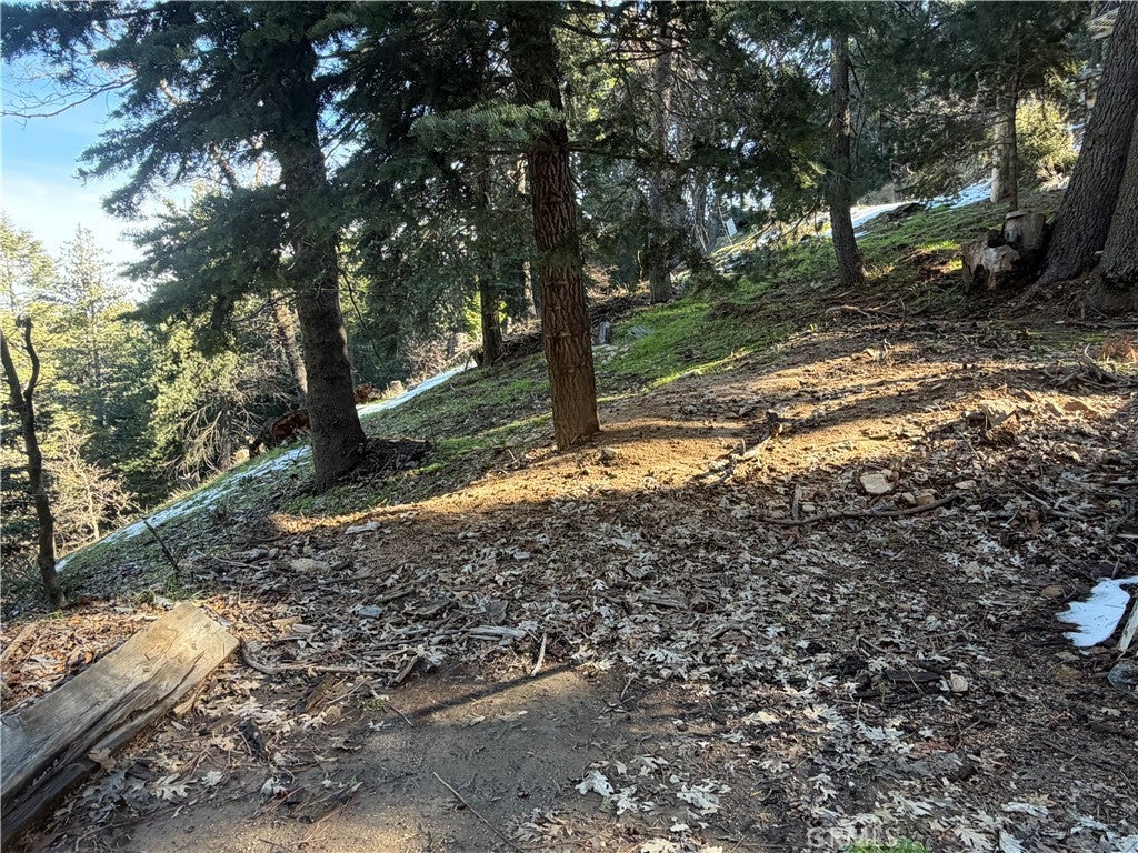 24989 Highland