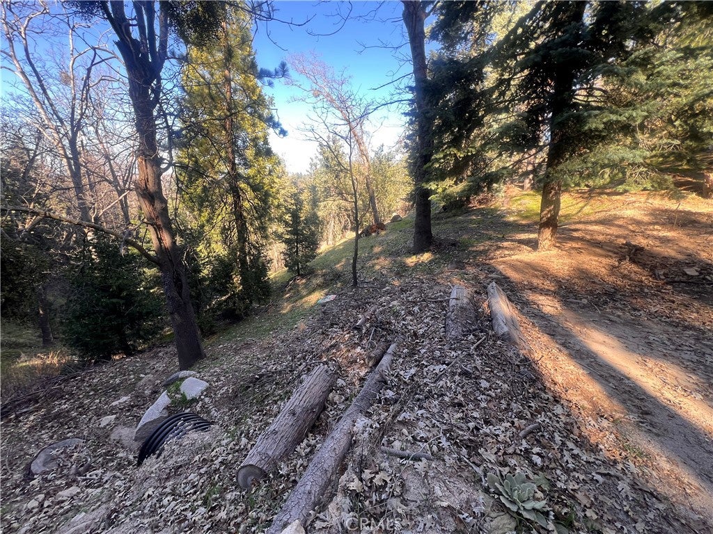 24989 Highland